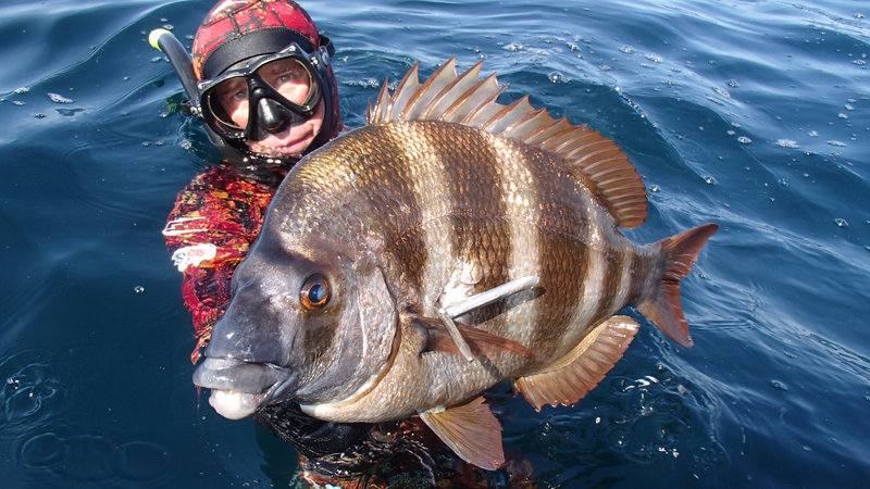 Eric Sauvage en action