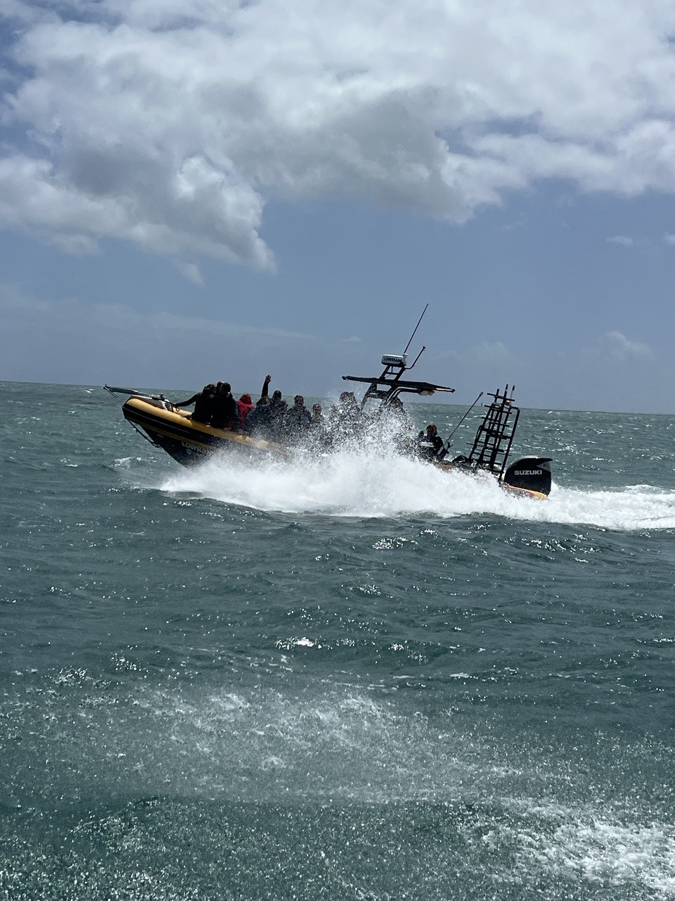 SEARIBS plein régime