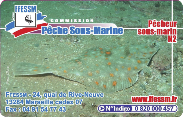 Pêcheur sous-marin N2