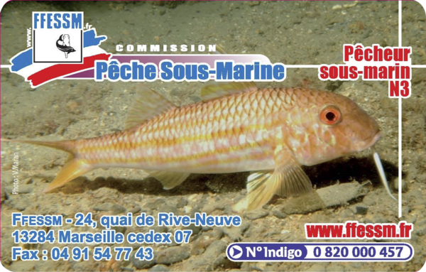 Pêcheur sous-marin N3