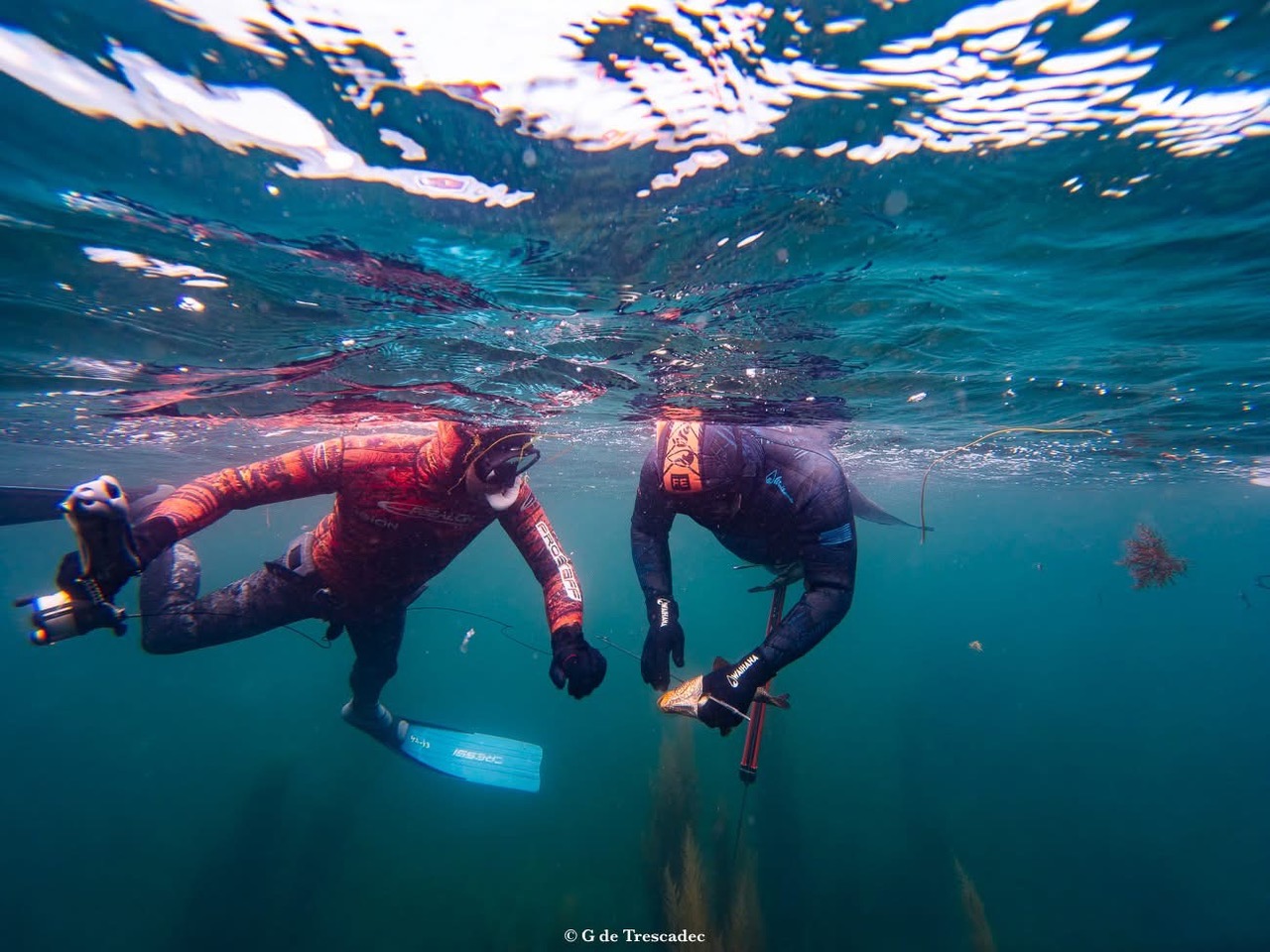 Stage chasse sous-marine