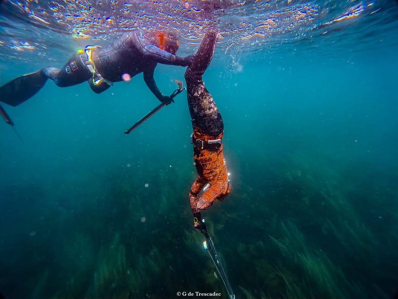 Stage chasse sous-marine
