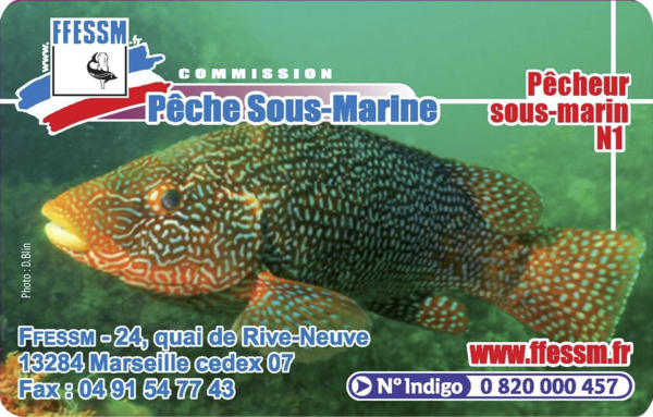 Pêcheur sous-marin N1